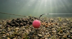 A close-up photograph of a short Chod rig presentation underwater on a gravel lake bed, with natural light filtering down, showing the hook, line, and a single pink pop-up boilie identical to the one in the featured image.