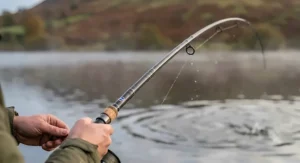Close-up of a powerful carbon fibre pike fishing rod blank bending under tension to demonstrate a progressive through-action.
