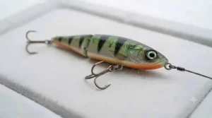 Hard plastic lure fitted with sharp front and rear treble hooks used for spinning and baitcasting for pike.