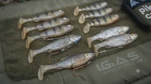 Close-up of rigged paddle tail soft plastic lures designed for targeting specimen pike in UK waters.