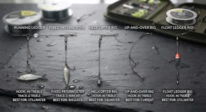 Paternoster rig setup suspending a deadbait above weed for winter pike fishing.