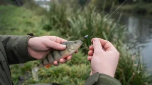 A weedless Texas rigged soft plastic lure designed for fishing through lily pads and weed beds in UK canals