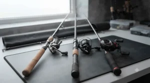 A neat lineup of three different specimen catfish rods for comparison: the primary rod from image_0.png (centre), flanked by two alternative models with different handle configurations (full cork and abbreviated EVA) and reels.