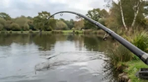 Bending action test showing the backbone and flexible tip of a value catfish rod under £80.