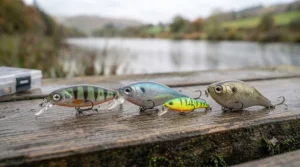 Shallow-diving crankbaits and minnow plugs mimicking small baitfish like bleak and roach for UK predator fishing.