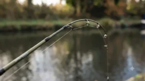 Flexible tubular tip of a light drop shot rod indicating subtle bites from a perch in fresh water.