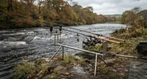A heavy-duty barbel rod bending under tension while ledgering for specimen fish on a rushing British river.