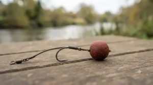 A hair-rigged barbel boilie attached to a strong hook, popular among UK specimen anglers.